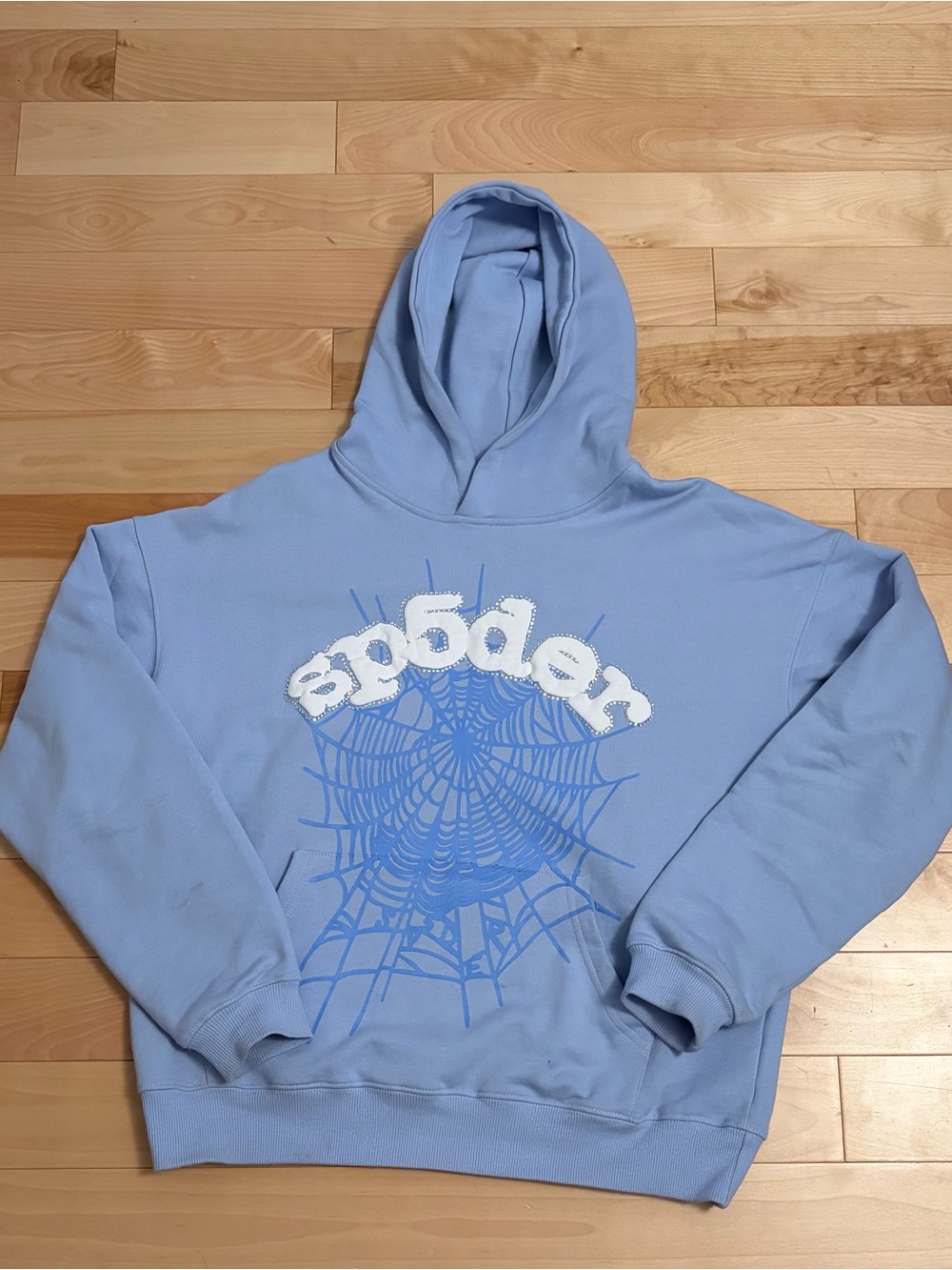 Light Blue Pullover Hoodie with Spiderweb Graphic